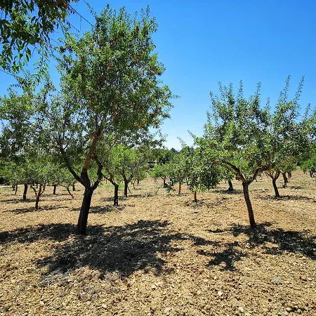Villa Son Bauzanet Palma di Maiorca